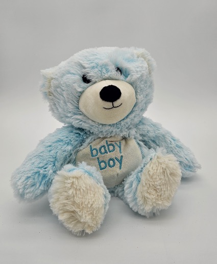 Warmies - Baby Boy Bear Plush