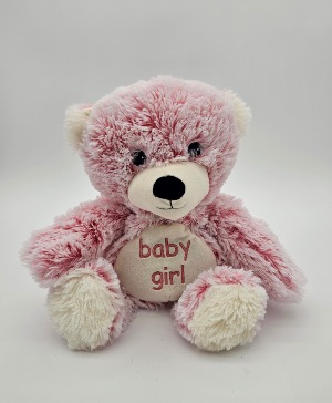 Warmies - Baby Girl Bear Plush