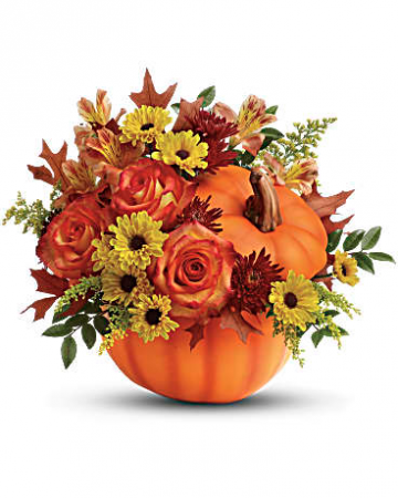Warm Wishes Fall Pumpkin