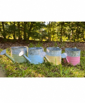 Watering Can Colors 