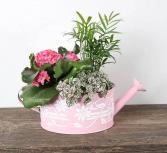 Watering Can planter