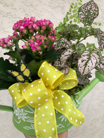 Watering Can Planter