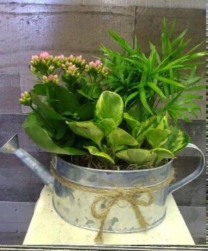 Watering Can Planter 