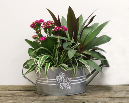 Watering Can Planter Basket