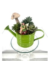 Watering Can Succulent Fairy Garden Plant