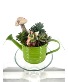 Watering Can Succulent Fairy Garden Plant