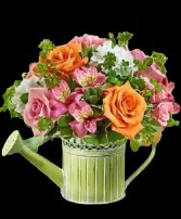 Watering Jug (asst colors & flowers) mothers day