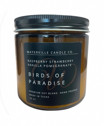 Waterville Candle  16 Oz. Hand Poured  in Magnolia, TX | ANTIQUE ROSE FLORIST