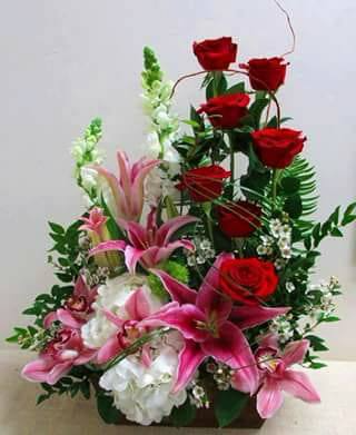 WAVE OF LOVELINESS