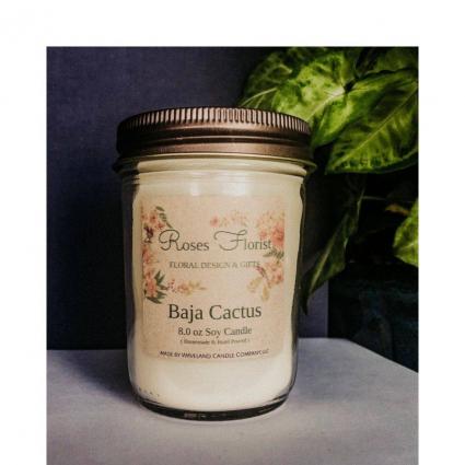 Baja Cactus Soy Candle Waveland Candle Company