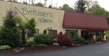 LOCAL DELIVERY ONLY PLEASE READ in White Oak, PA | Breitinger's Flowers