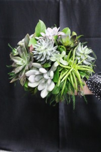 Wedding Bouquet - Succulents 
