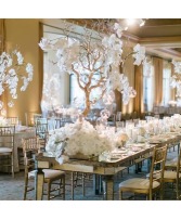 Wedding Flowers  