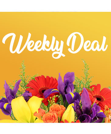 Weekly Deal Custom Arrangement in Oakland, ME | VISIONS FLOWERS & BRIDAL DESIGNS