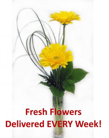 Weekly Flower Delivery Service