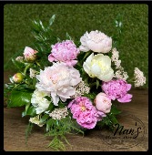 Weekly Special Assorted Peonies