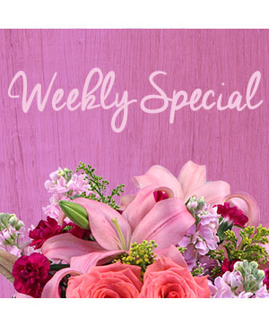 Our Flower Specials, Special Offers