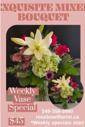 Weekly Special  Fresh Cut Flowers 