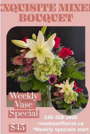 Weekly Special  Fresh Cut Flowers 
