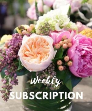 Weekly Subscription 