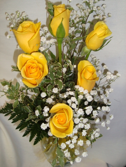  Six Bright Yellow  Roses with babys breath  arranged in a vase.