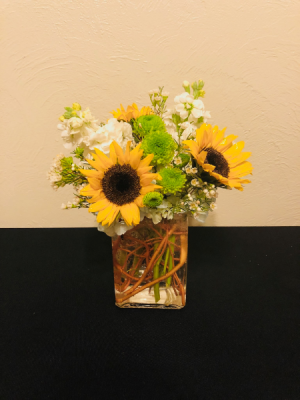Welcome Baby Boy! Arrangement in Boise, ID | HEAVENESSENCE FLORAL & GIFTS Welcome Baby Boy! Arrangement in Boise, ID | HEAVENESSENCE FLORAL & GIFTS