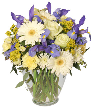 Welcome Baby Boy Flower Arrangement in Lincoln, NE | BURTON & TYRRELL'S / OAK CREEK PLANTS & FLOWERS