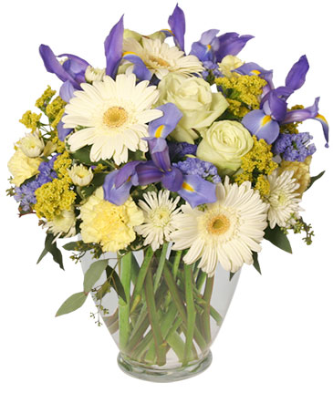 Welcome Baby Boy Flower Arrangement in Gastonia, NC | POOLE'S FLORIST