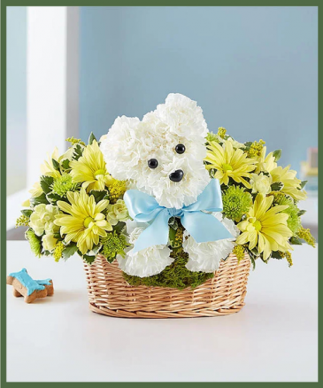 Welcome Baby Boy Love Pup  in Arlington, TX | Erinn's Creations Florist