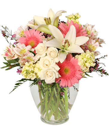 Welcome Baby Girl Flower Arrangement in Greenland, NH | Woodbury Florist & Greenhouses