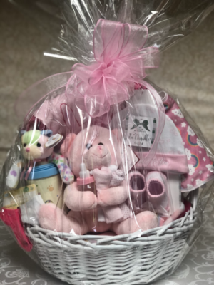 Give Our Twin Baby Girl Gift Baskets As A Precious Pink Present! - MY  BASKETS