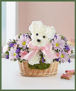 Welcome Baby Girl Love Pup in Arlington, TX | Lige Green Flowers Welcome Baby Girl Love Pup in Arlington, TX | Lige Green Flowers