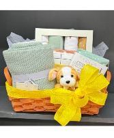 Welcome Baby or Bump Baskets Customized New Parent Gift Baskets