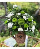 Welcome Back Bobcat! Vased Arrangement