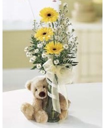 Welcome Bear D6-3747 Arrangement