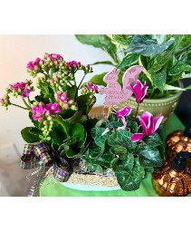 "Welcome Friends" Bloomer Basket 