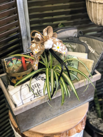Welcome Home Gift Basket Gift Basket