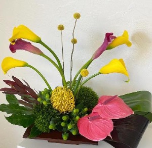 Welcome in Beauty 