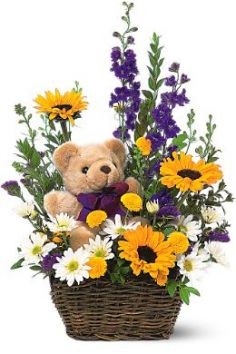 Welcome New Baby Bear