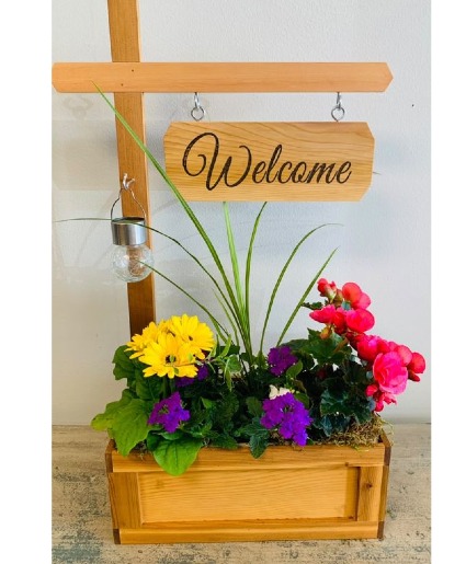 Welcome Planter  Spring Annuals 