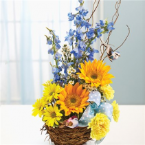 Welcome To The Nest Baby Boy™ Arrangement