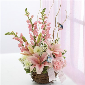 Welcome To The Nest Baby Girl™ in Valley City, OH | HILL HAVEN FLORIST & GREENHOUSE Welcome To The Nest Baby Girl™ in Valley City, OH | HILL HAVEN FLORIST & GREENHOUSE