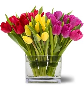 WF 327 Spring Tulips Double