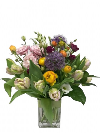 WF 501 Spring Romance