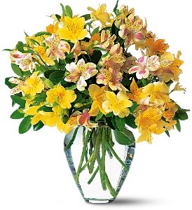 WF101 Alstroemeria Bouquet