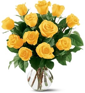 WF248 12 Yellow Roses