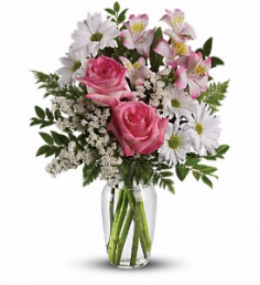 Category Image