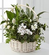 what flavor basket  garden. Thomaston florist & Gr 