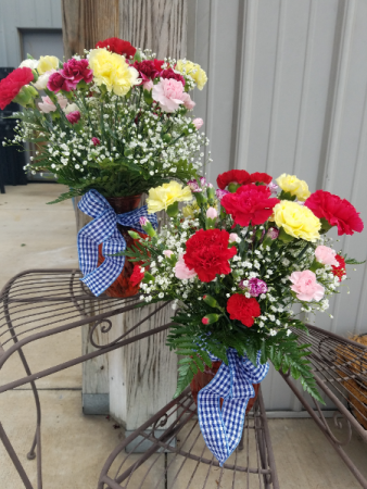 What in Carnation! Carnation Vase Special
