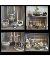 Whimsical Handcrafted Plant Terrariums  Various Succulents and Green Plants